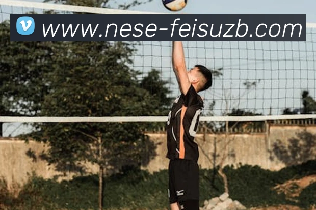 飞速足球直播全站App